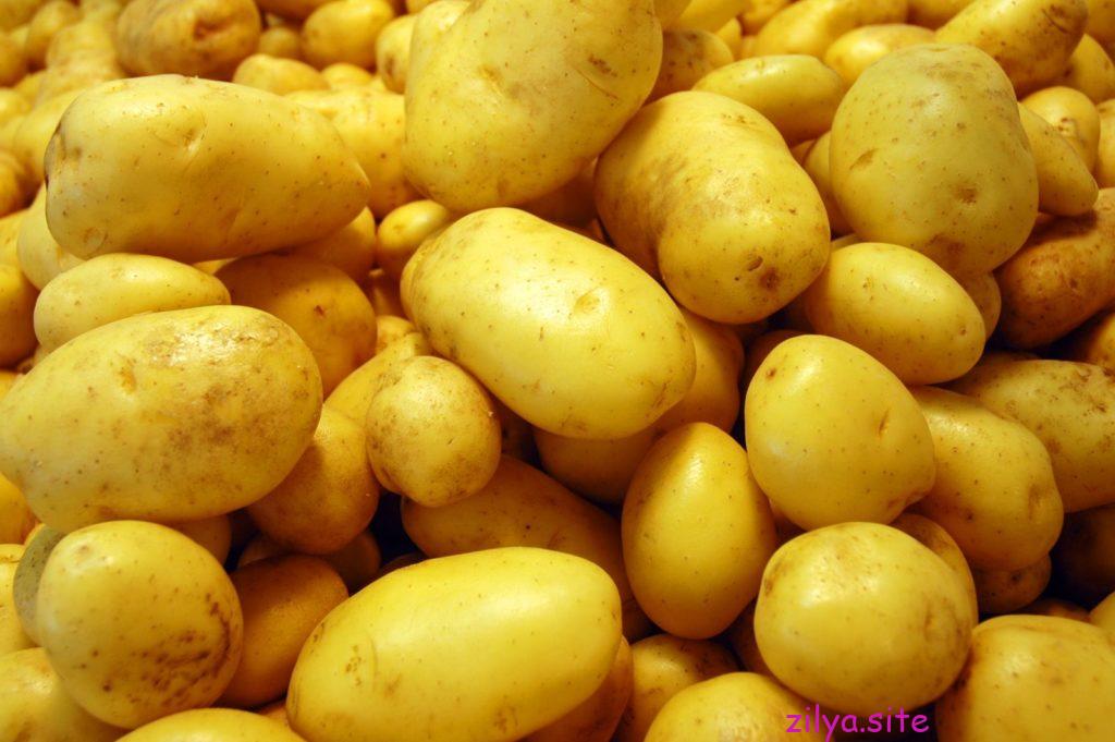 как увеличить урожай картофеля